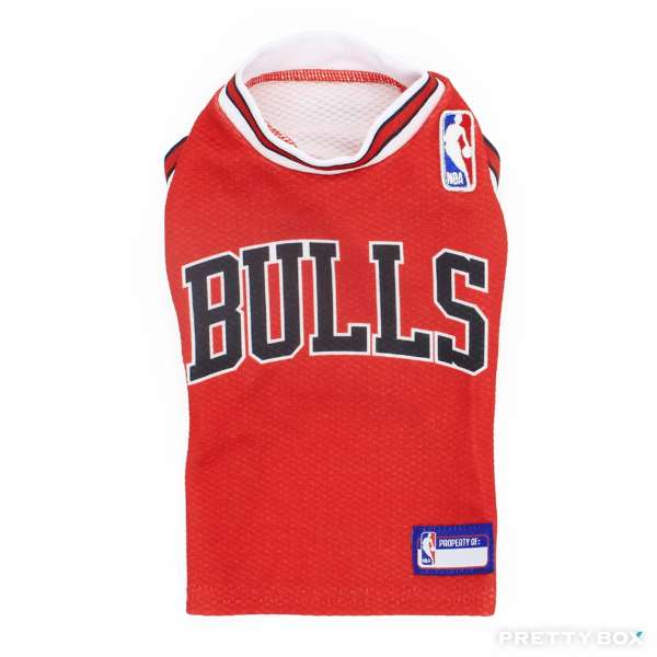 NBA Chicago Bulls芝加哥公牛寵物球衣（小型犬著用）- 5號